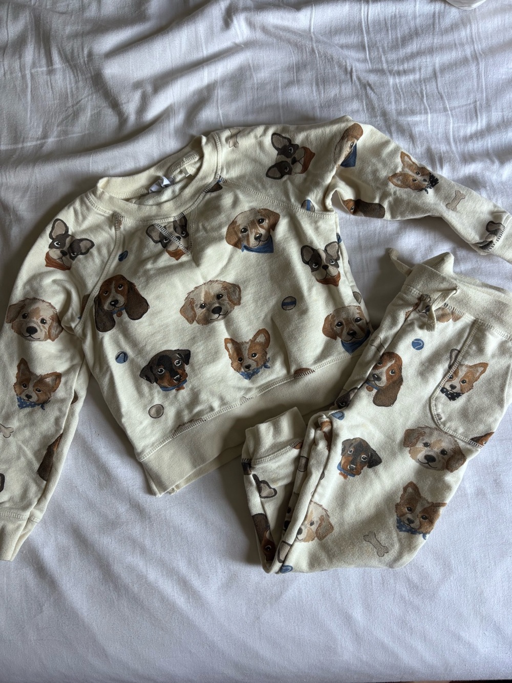 Angel Dear French Terry Puppy Raglan Sweatshirt Set 4T